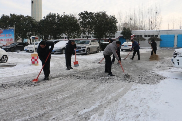 风雪见担当 除雪聚力量